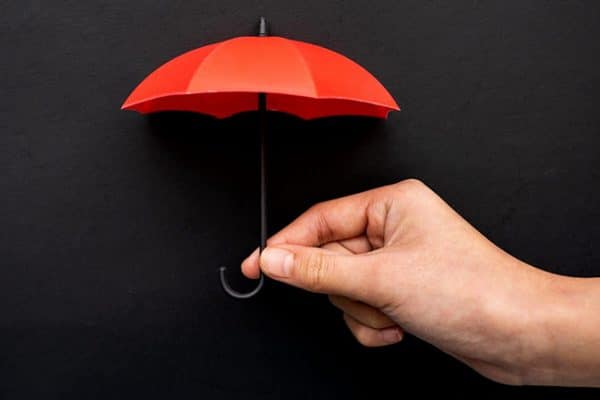 Mini Umbrella Company Fraud