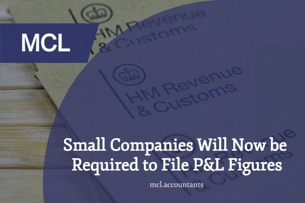 Small Companies Will Now be Required to File Profit and Loss Figures
